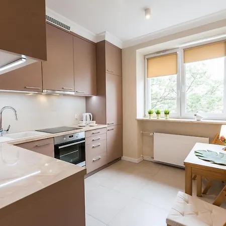 Vintage Krasinskiego 7 Apartment *