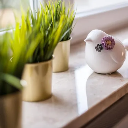 Vintage Krasinskiego 7 Apartman Krakkó